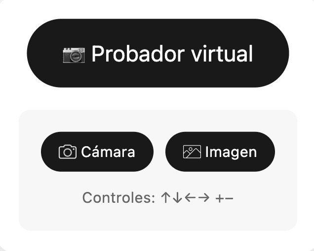 Probador Virtual
